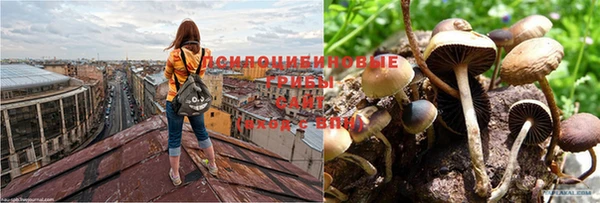 кокаин VHQ Баксан
