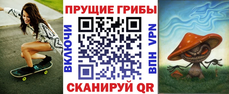 где найти   Углегорск  Галлюциногенные грибы Psilocybine cubensis 